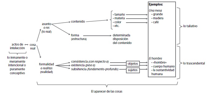 Esbozo gráfico del análisis del acto general de
intelección sive el apa­recer de las cosas