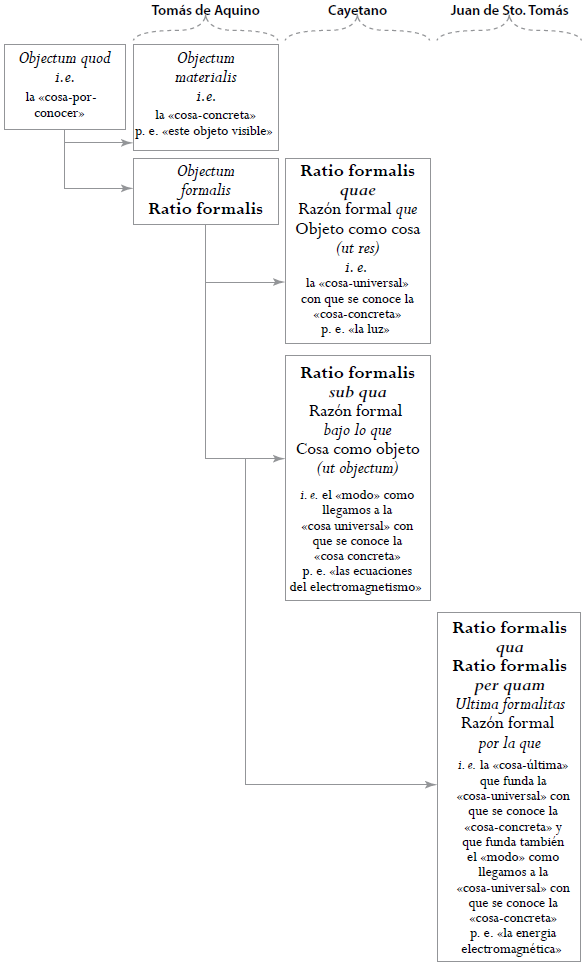 Ratio formalis en sus diversos momentos constitutivos del objeto.